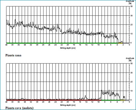 Grafico